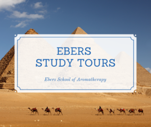 Ebers Aroma School Coupons Code