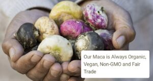 The Maca Team Coupon Code 