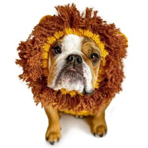 Zoo Snoods Coupons Code