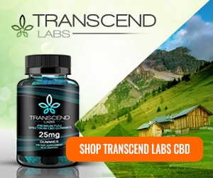 Transcend Labs