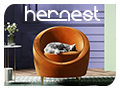 HERNEST