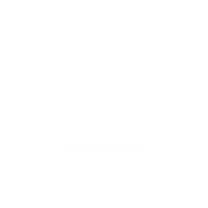 Electric Performance Design Coupon