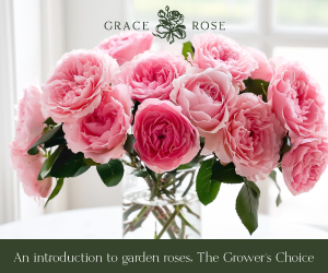 Grace Rose Farm