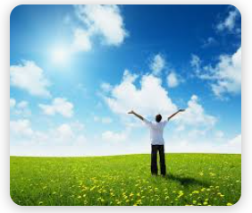 Freedom from Allergies Coupon