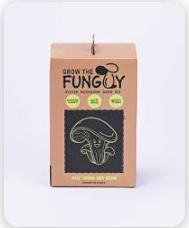 The Fun Guy Coupon
