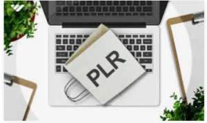 Best PLR Digital Coupon
