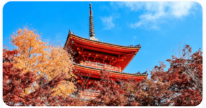 Keep Good Trip Coupon