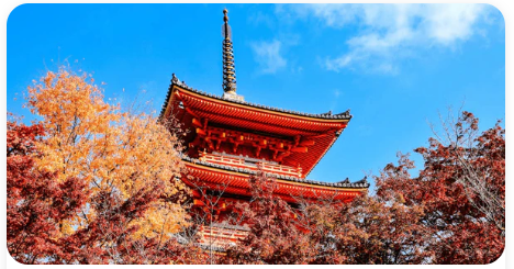 Keep Good Trip Coupon