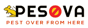 Pesova Coupon